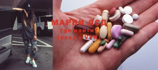 прущие грибы Балахна