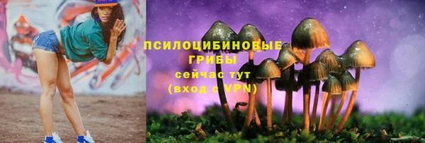 твердый Баксан