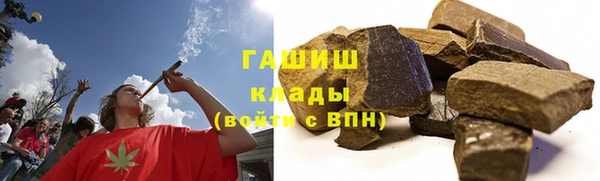 прущие грибы Балахна