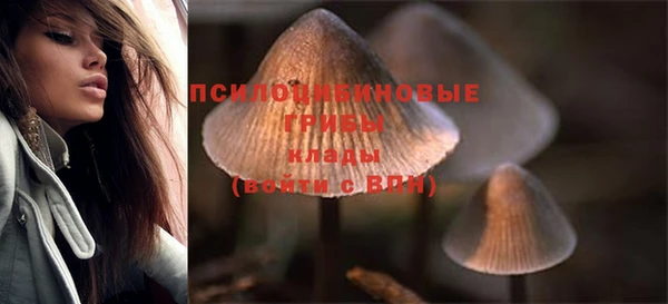 прущие грибы Балахна