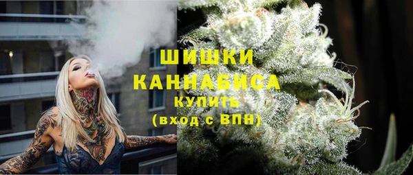 прущие грибы Балахна